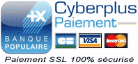 cyberplus paiement